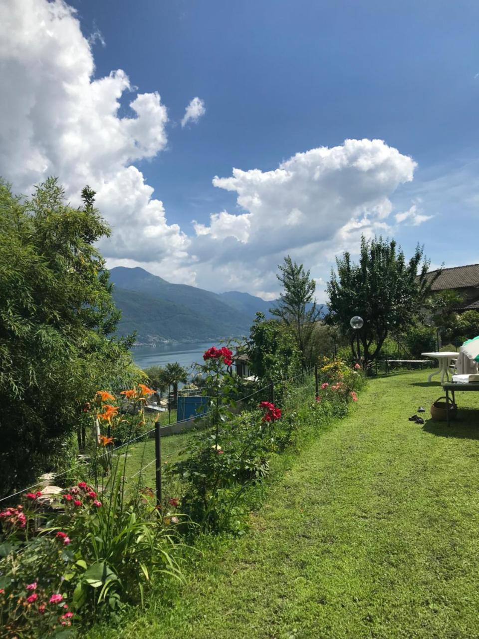 B&B Alto Lago Di Como for freedom Gravedona Exterior foto